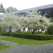 Kurzurlaub Brannenburg 2015 - 30.04.15 Petersberg <br>
Innenhof Verdi-Haus (Foto Doris)