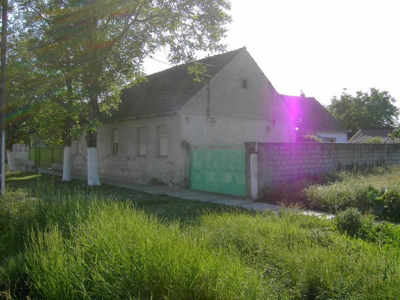 Comlaus.jpg - Banat-Besuch 2009 - 26.05.2009 - Arad   Haus Großeltern in Altsanktanna