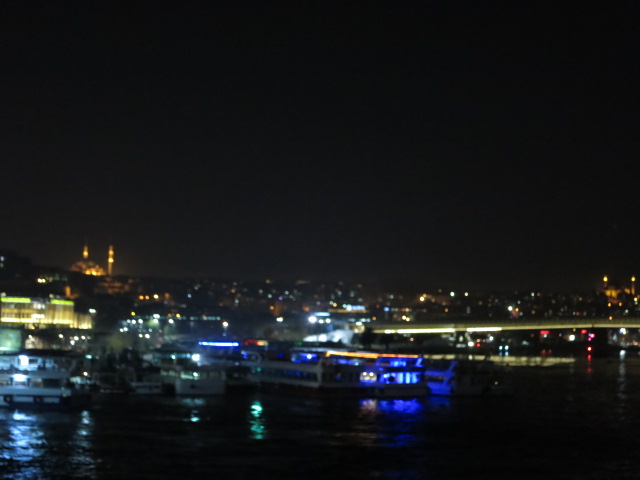 IMG_0031.JPG - Stadtführung Istanbul 2014 - 18.03.14  Nachtaufnahme von Galata-Brücke