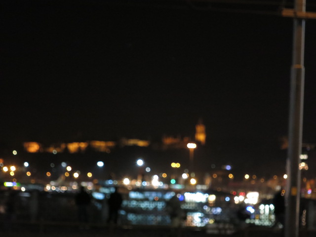 IMG_0033.JPG - Stadtführung Istanbul 2014 - 18.03.14  Nachtaufnahme von Galata-Brücke