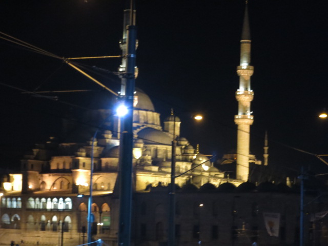 IMG_0034.JPG - Stadtführung Istanbul 2014 - 18.03.14  Süleyman-Moschee - Nachtaufnahme