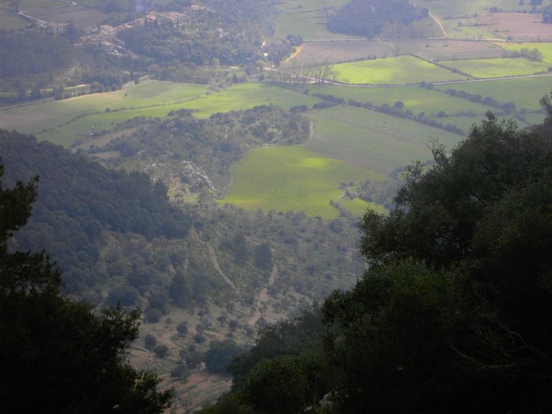 110330_Orient2.jpg - Mallorca-Wanderungen - 30.03.2011 Erkundung im Nebel  unbekannter Standort - Blick Richtung Orient (Zoom) 