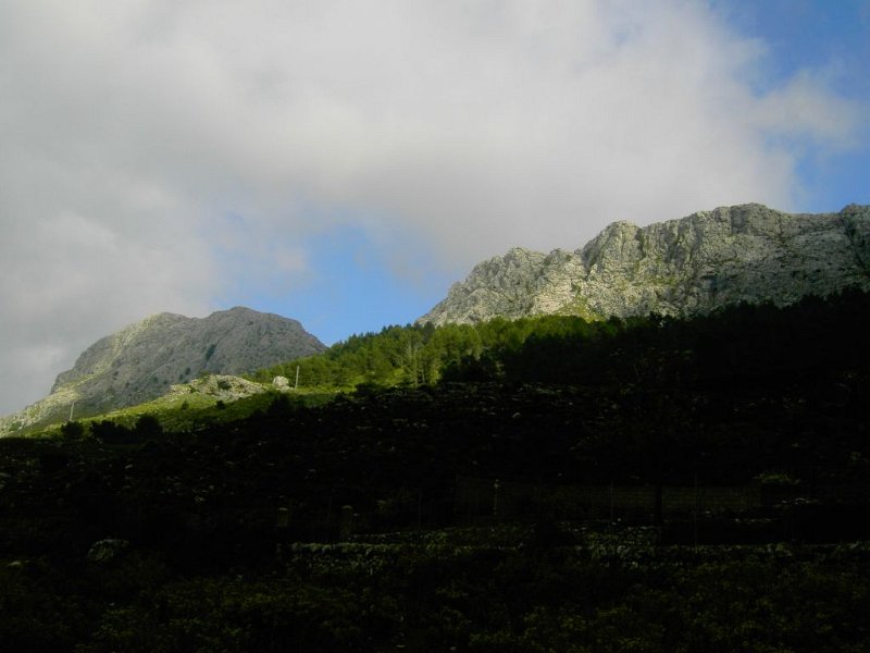 110330_Sa_Rateta.jpg - Mallorca-Wanderungen - 30.03.2011 Erkundung im Nebel  vom Rückweg - Na Franquesa, Sa Rateta nach Nebelauflösung