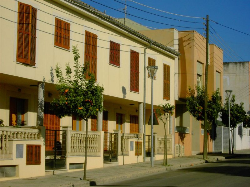 110401_hoch_gehaengt.jpg - Mallorca-Wanderungen - 01.04.2011 Tossals Verds  in Inca - Orangen hoch gehängt