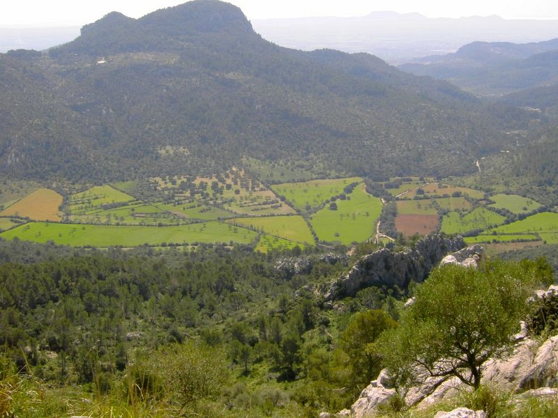 110401_saftige_Taeler.jpg - Mallorca-Wanderungen - 01.04.2011 Tossals Verds  am Refugi - saftige Täler 