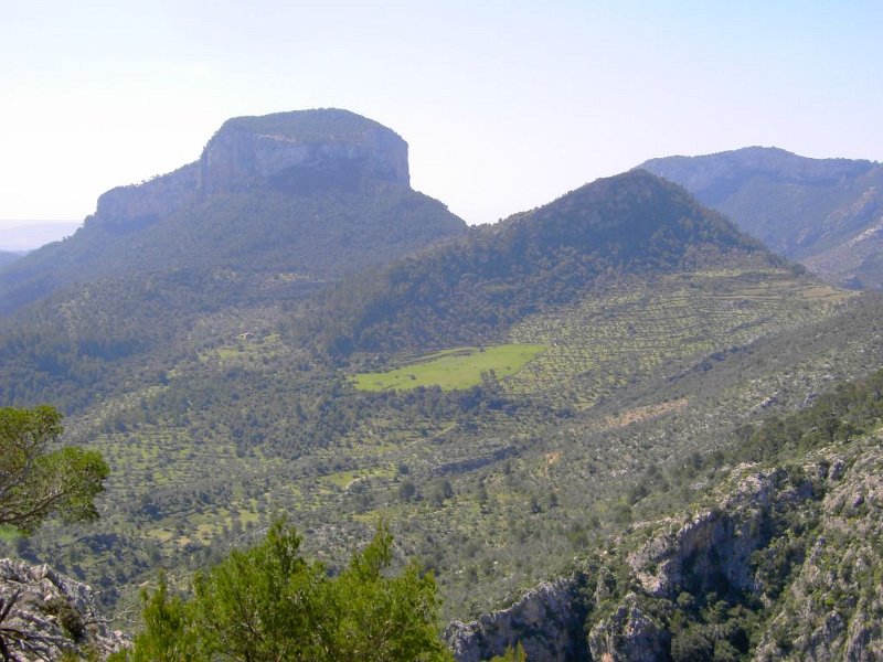 110401_sonderbarer_Berg.jpg - Mallorca-Wanderungen - 01.04.2011 Tossals Verds  vom Rundweg - sonderbarer Berg