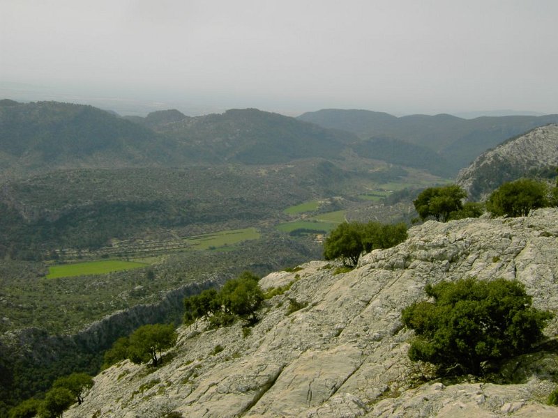 110404_ComaSema_Orient.jpg - Mallorca-Wanderungen - 04.04.2011 Drei Gipfel  am Sa Rateta - Tal Richtung Orient