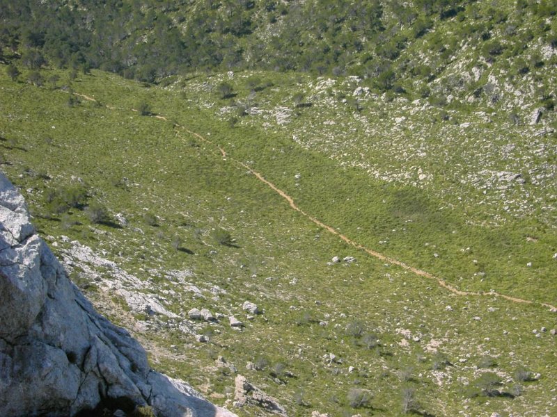 110406_Heimweg.jpg - Mallorca-Wanderungen - 06.04.2011 Massanella   vom Gipfel - Rückweg   