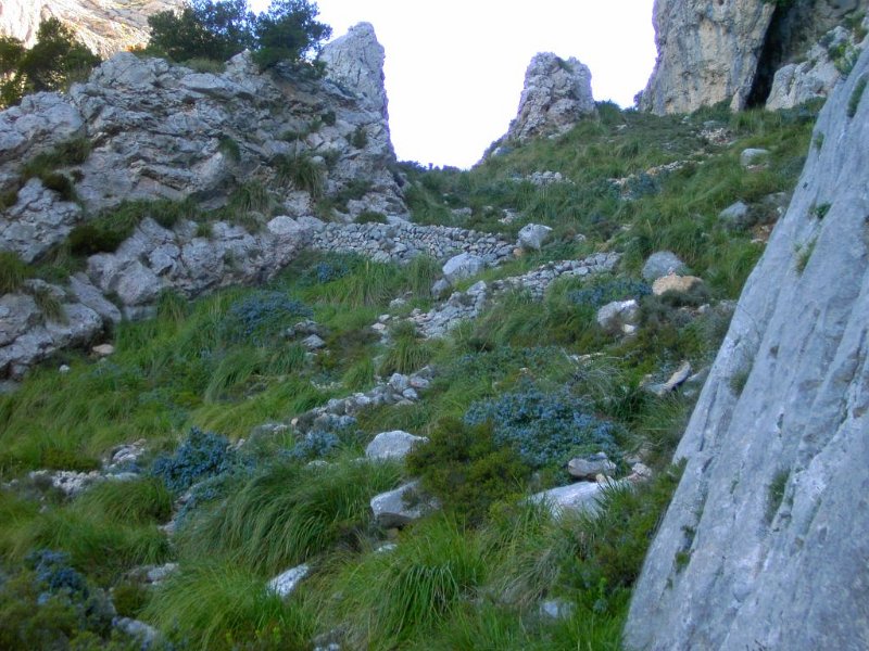 110407_Richtung_Penya.jpg - Mallorca-Wanderungen - 07.04.2011 Penyal des Migdia    vom Absteig  -  Rückblick