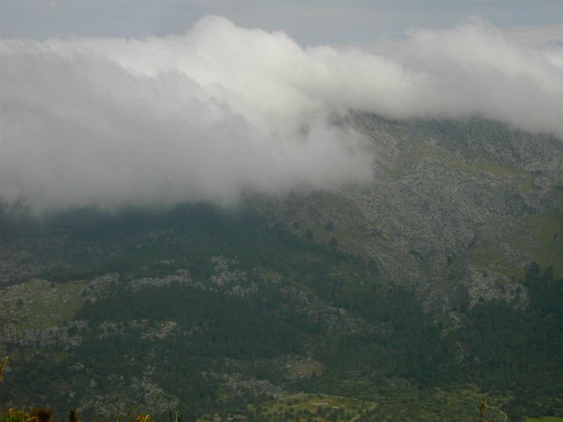 110411_tiefe_Wolken2.jpg - Mallorca, 11.04.2011 - Suche Aufstieg Cuculla de Fartaritx   Wolken hängen am Berg