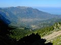 110407_Soller2