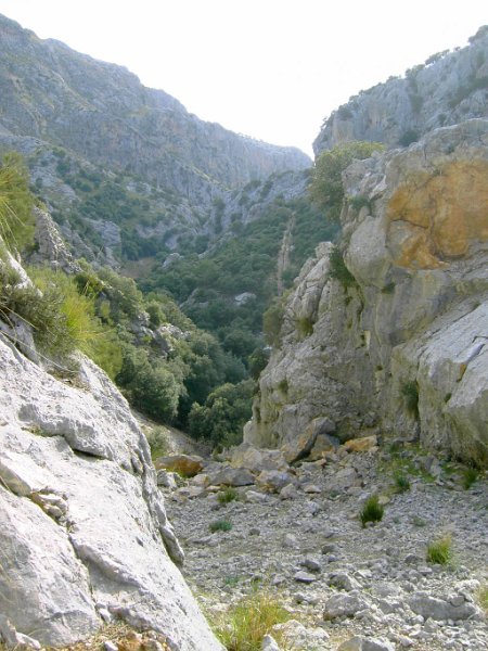 111021_Abstieg_Leitung_D.jpg - Mallorca-Wanderungen - 21.10.2011 Dreigipfeltour  Hinweg - Abstieg zur Leitung (D)