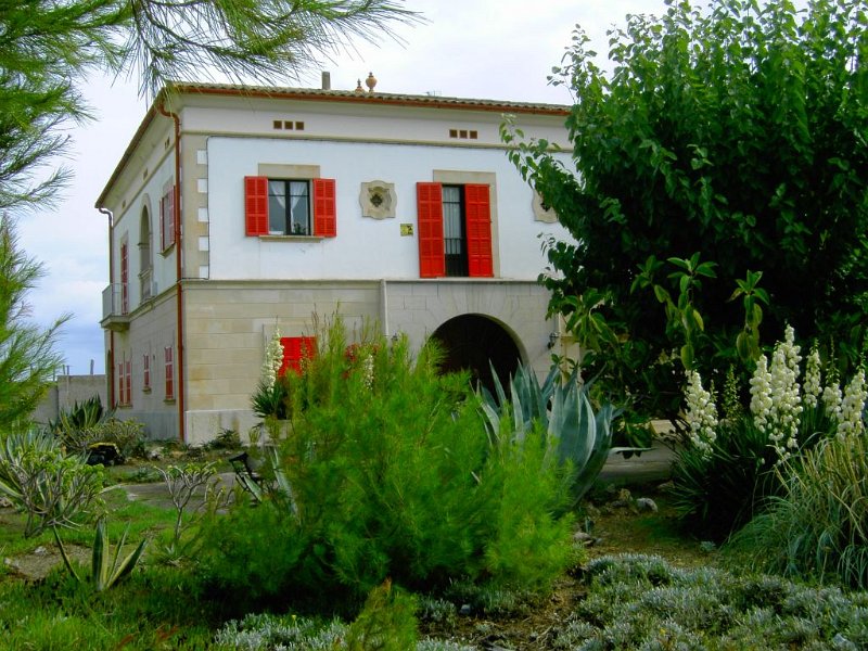 121013_Can_Picafort_3.jpg - Mallorca-Wanderungen - 09.10.2012 - Can Picafort  herrschaftliches Haus mit Garten