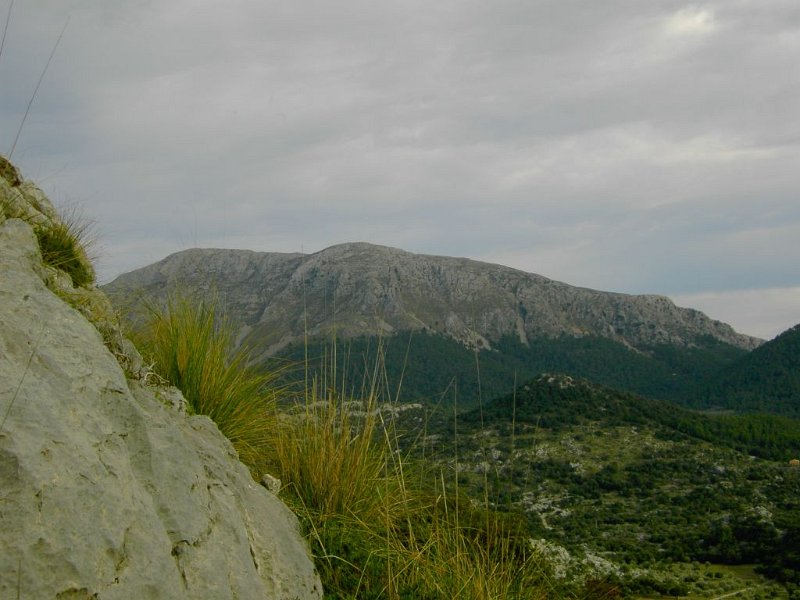 121014_Puig_Roig_2.jpg - Mallorca-Wanderungen - 14.10.2012 - Puig Roig  Puig Tomir