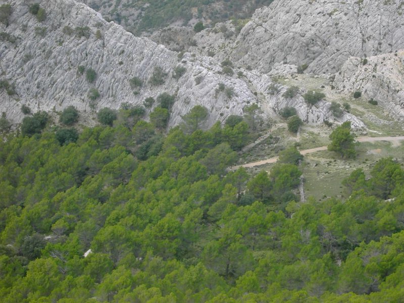 121019_Drei_Gipfel_2.jpg - Mallorca-Wanderungen - 19.10.2012 - Drei-Gipfel-Tour  