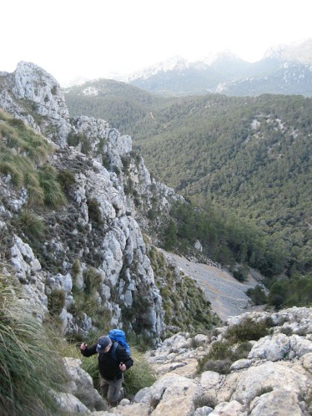 130311_Tomir_Aufstieg_M.jpg - Mallorca-Wanderungen - 11.03.2013   Tomir- Aufstieg (M)