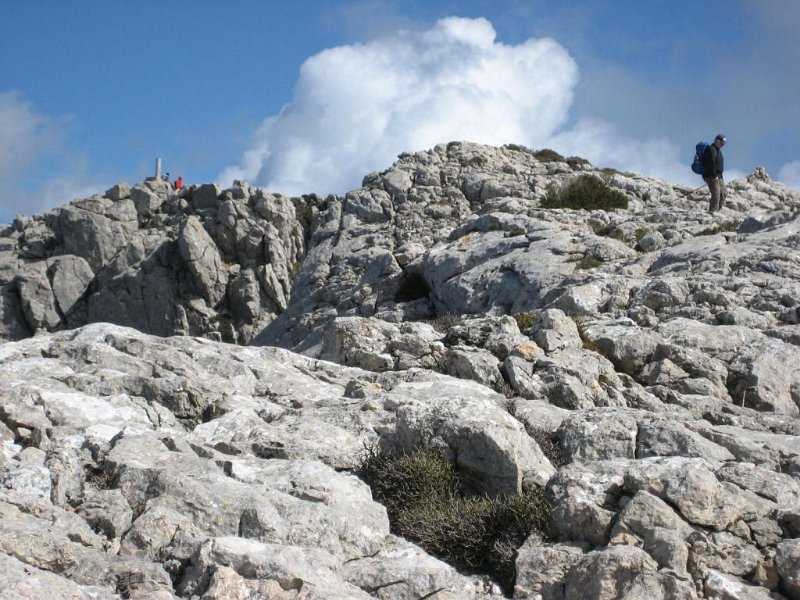 130311_Tomir_Gipfel_M.jpg - Mallorca-Wanderungen - 11.03.2013   Tomir- Abstieg vom Gipfel (M)