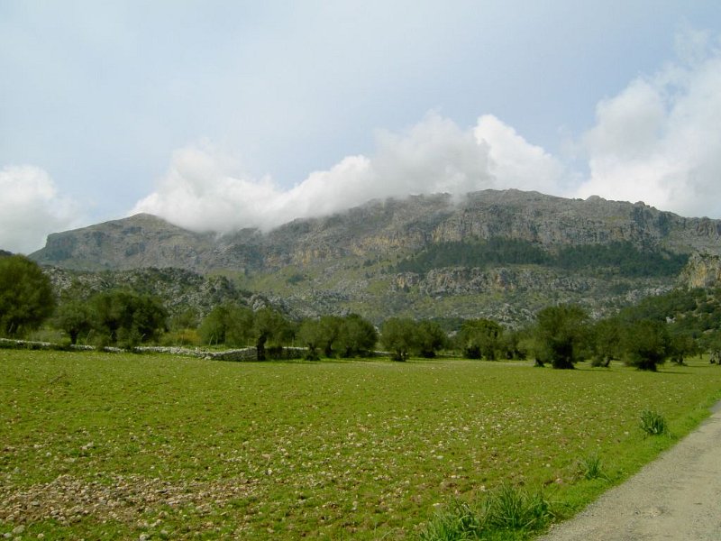 130324_Puig_Roig_H.jpg - Mallorca-Wanderungen - 24.03.2013   Puig Roig - Berg in Wolken (H)