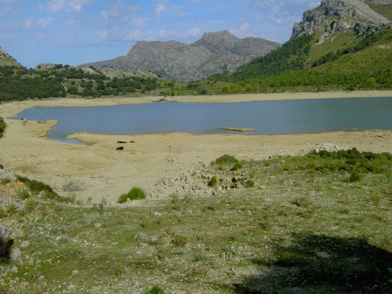131018_Coma_Sema_Cuber.jpg - Mallorca-Wanderungen - 18.10.2013   Coma Sema - Speicher Cuber 