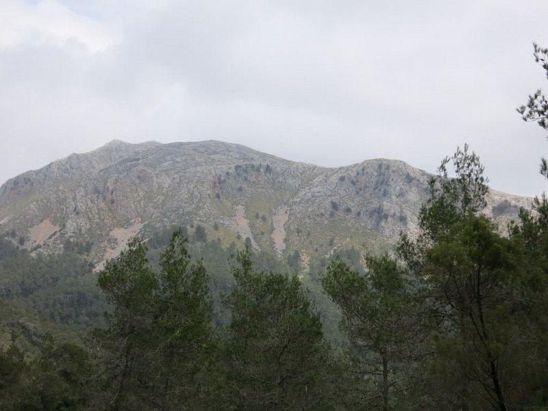 140331_Galileu_Massanella.jpg - Mallorca-Wanderungen - 31.03.2014   Richtung Binibona - Galileu, dahinter Massanella