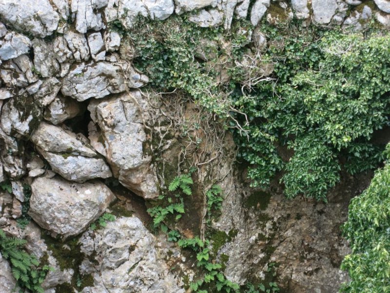 140402_Schneehöhle_Tomir.jpg - Mallorca-Wanderungen - 02.04.2014   auf und um den Tomir - Schneehöhle
