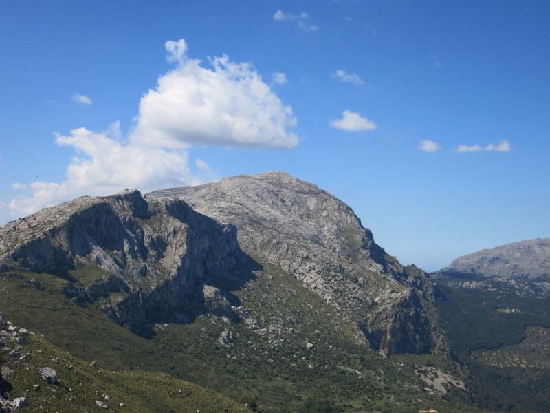 140405_Puig_d_es_Ca.jpg - Mallorca-Wanderungen - 05.04.2014   Cuculla Fartaritx - Puig d' es Ca