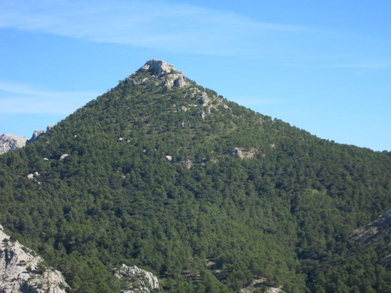 141017_Ofre_vom_Aufstieg_Cornador.jpg - Mallorca-Wanderungen - 17.10.2014 Bianaraix - Cornador   vom Aufstieg Cornador, Puig Ofre