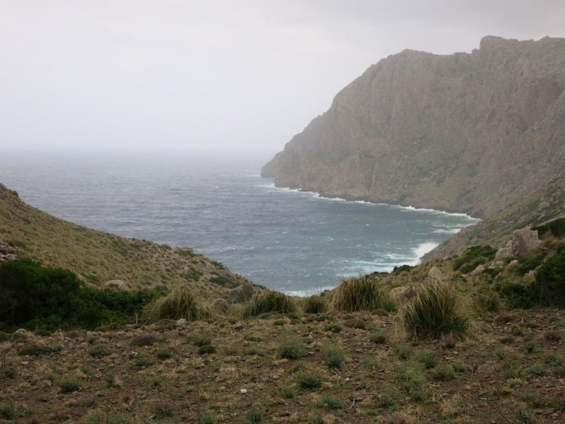 141022_Mortitx_Bucht.jpg - Mallorca-Wanderungen - 22.10.2014 Mortitx   Bucht an der Hexenhöhle