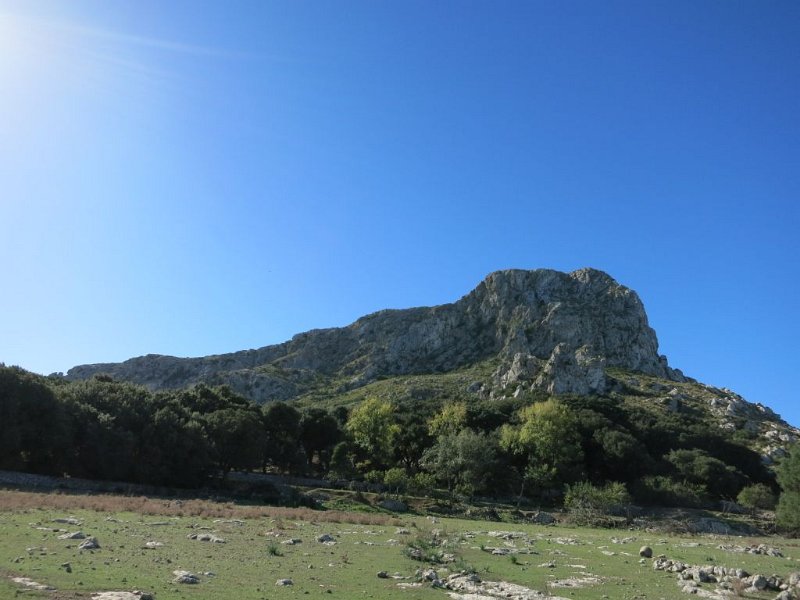 141024_Fartaritx_kurz_Gipfel.jpg - Mallorca-Wanderungen - 24.10.2014 Cuculla de Fartaritx   vom Aufstieg, kurz vor dem Gipfel