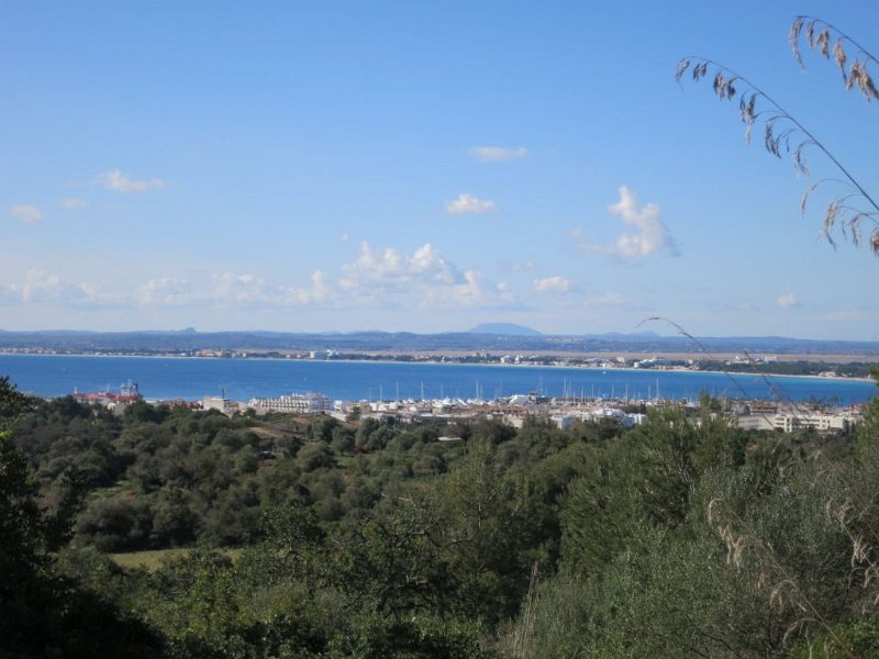 150315_Port_Alcudia.jpg - Mallorca-Wanderungen - 15.03.2015 Talaia d' Alcudia  vor dem Aufstieg - Port d' Alcudia