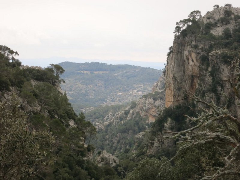 150316_Pforte_Insel.jpg - Mallorca-Wanderungen - 16.03.2015 Mancor de Val  vom Übergang - Aussicht auf Insel