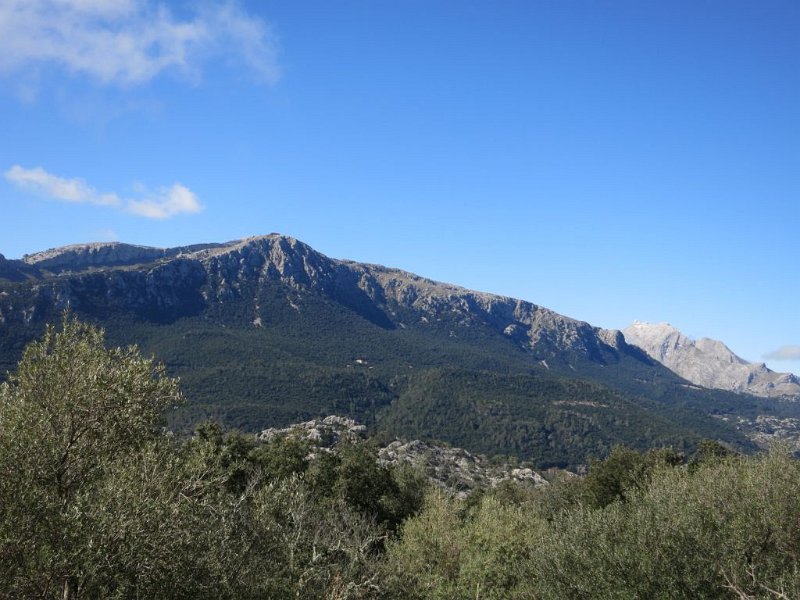 150317_Galileu_Major.jpg - Mallorca-Wanderungen - 17.03.2015 Tomir  vom Aufstieg - Galileu, rechts weiter weg Puig Major