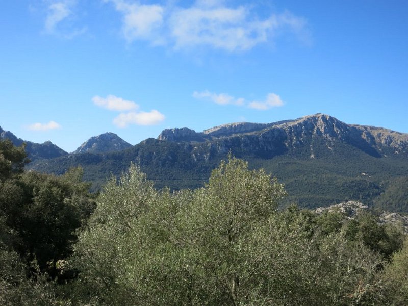 150317_Galileu_Massanella_Ali.jpg - Mallorca-Wanderungen - 17.03.2015 Tomir  vom Aufstieg - Galileu, dahinter Massanella, dann Puig Ali
