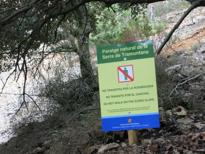 150317_Geroellhalde.jpg - Mallorca-Wanderungen - 17.03.2015 Tomir  am Aufstieg - kein Aufstieg über Geröllhalde