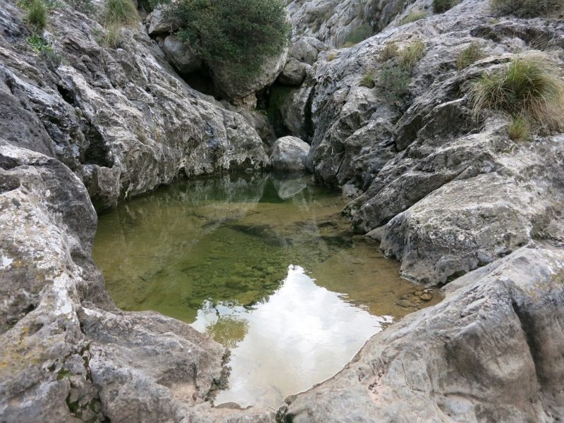 150318_Wasser.jpg - Mallorca-Wanderungen - 18.03.2015 Mortitx  über die Schlucht!