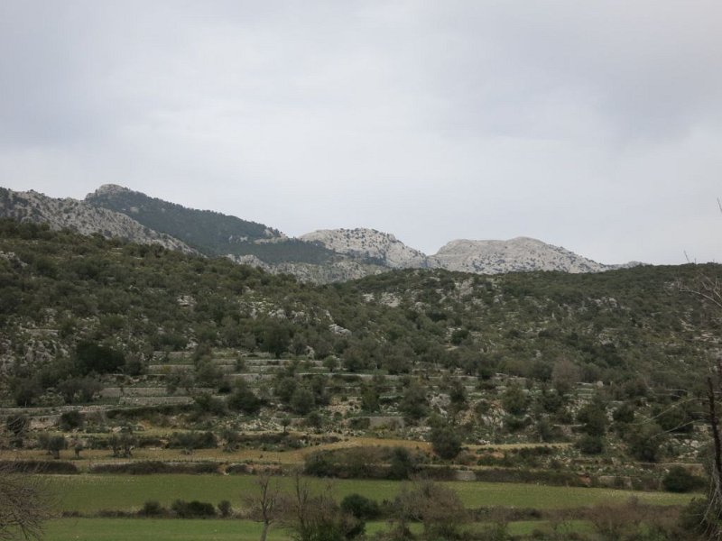 150319_Dreigipfel.jpg - Mallorca-Wanderungen - 19.03.2015 Orient-Alaro  von L' Heremitage - Dreigipfel