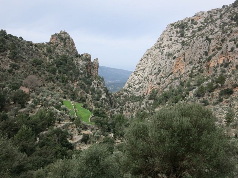 150323_Fenster.jpg - Mallorca-Wanderungen - 23.03.2015 Bianaraix - Ofre  Fenster nach außen