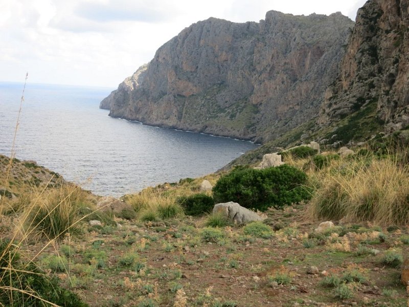 151010_Bucht_Hexenhoehle.jpg - Mallorca-Wanderungen - 10.10.2015 Mortitx  vom Hinweg - Bucht neben Hexenhöhle
