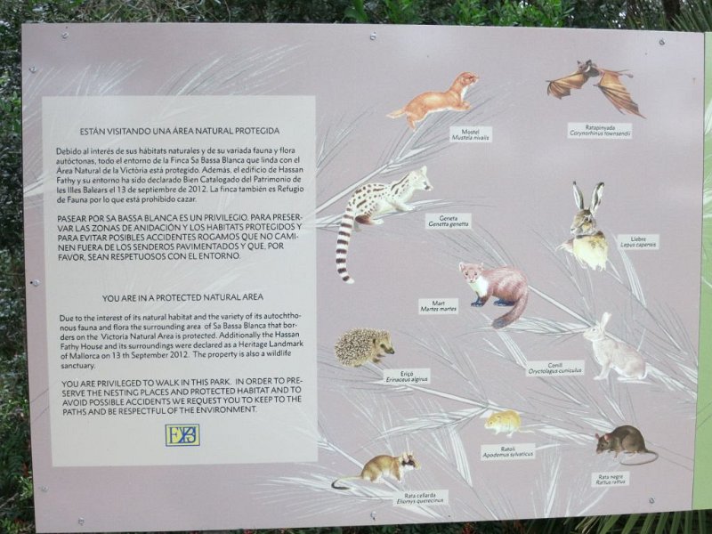 151013_Tiere.jpg - Mallorca-Wanderungen - 13.10.2015 Fundacion (Yannick Vu und Ben Jakober)  Tiere der Insel 