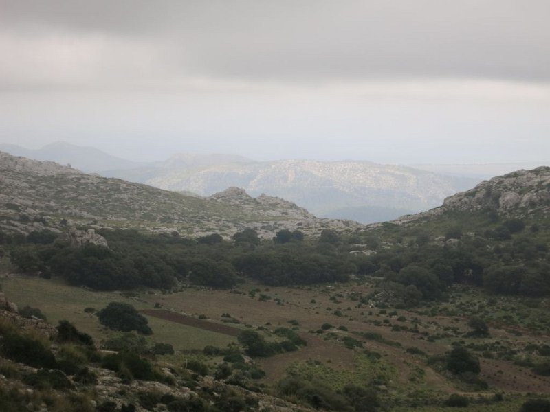 151015_Berge_weiss.jpg - Mallorca-Wanderungen - 15.10.2015 Puig Tomir  kurz vor Umrundung - weiße Berge in der Ferne