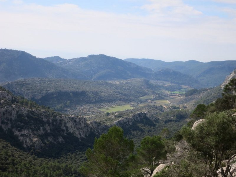 151016_Coma_Sema.jpg - Mallorca-Wanderungen - 16.10.2015 Sa Rateta, Na Franquesa  beim Aufstieg zum Rateta - grünes Tal Coma Sema