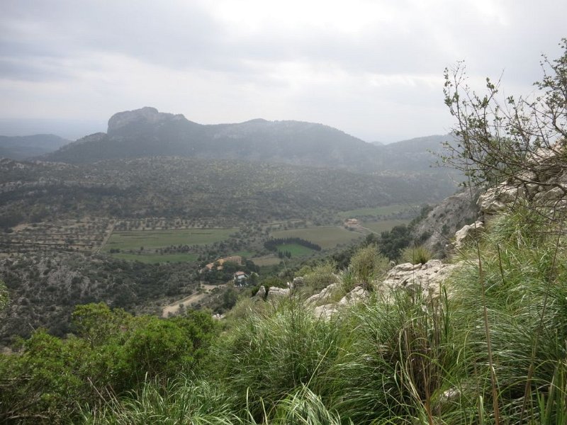 151021_Blick_Osten.jpg - Mallorca-Wanderungen - 21.10.2015 Coma Sema - Barrancones  vom Aufstieg - Blick Richtung Inselinneres