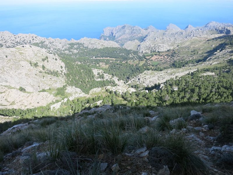 151023_Fahrweg_Bini_Gran.jpg - Mallorca-Wanderungen - 23.10.2015 Penyal de Migdia (1356)  vom Aufstieg - Fahrweg zur Finca Bini Gran (Start des Aufstiegs) 