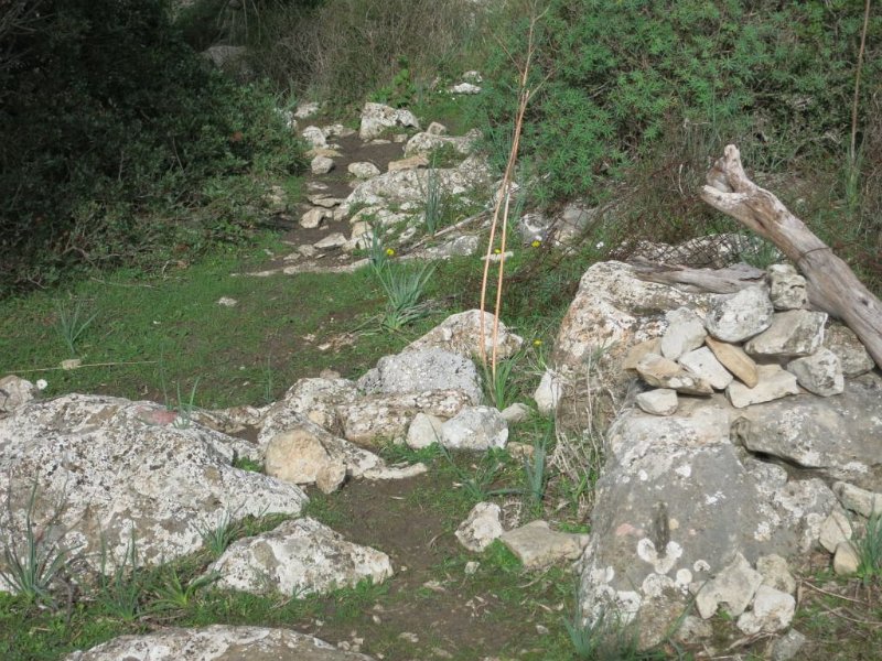 151024_Markierung_Abstieg.jpg - Mallorca-Wanderungen - 24.10.2015 Cuculla de Fartaritx  Ende des (neuen) Aufstiegs - Markierung des Abstiegs