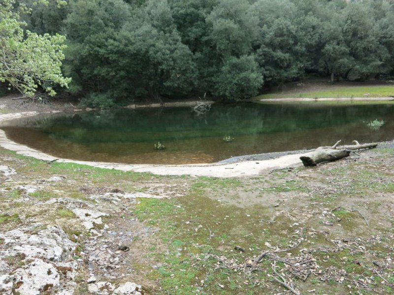 160406_Brotzeit-See.jpg - Mallorca-Wanderungen - 06.04.2016 Richtung Lluc  vom GR  - See zum Brotzeit machen