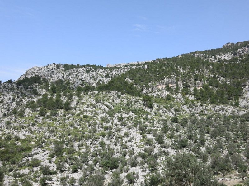 160407_Tossals.jpg - Mallorca-Wanderungen - 07.04.2016 Tossals Verds  vom Wanderpfad  - Rücken des Tossals Verds