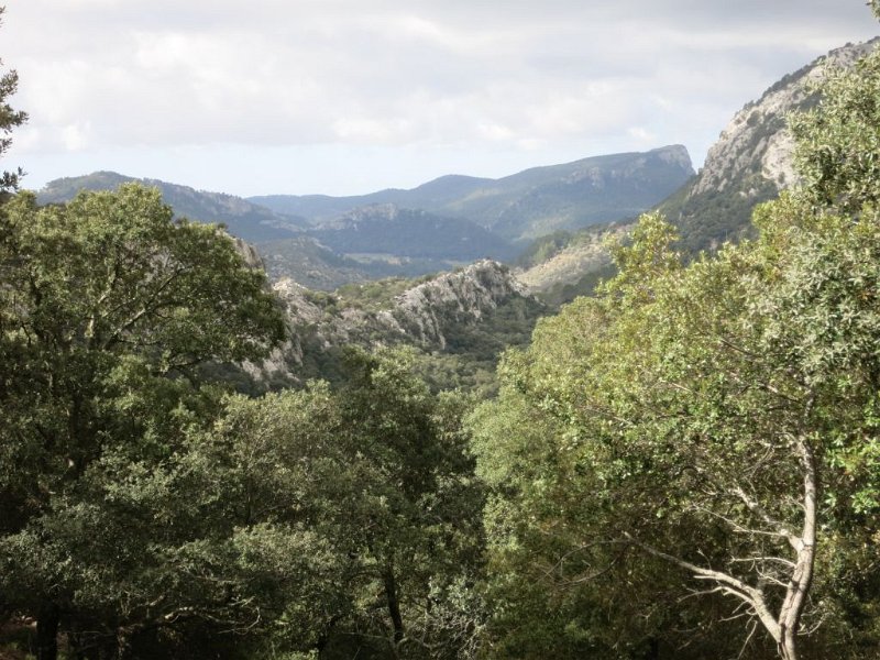 160409_Talblick.jpg - Mallorca-Wanderungen - 09.04.2016 Coma Sema - Barancones  vom Pass  - Talblick