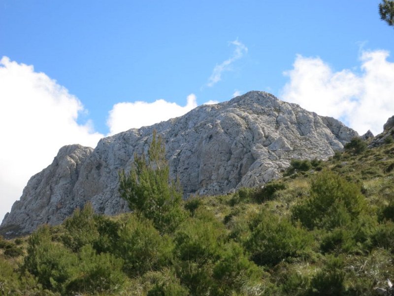 160411_dorthin.jpg - Mallorca-Wanderungen - 11.04.2016 Massanella  vom Wanderpfad  - dorthin geht es