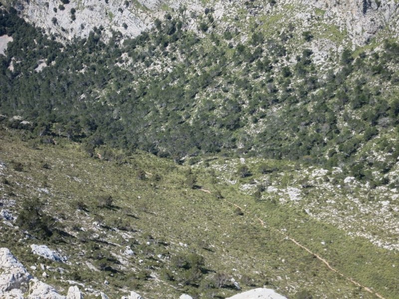 160411_von_dort.jpg - Mallorca-Wanderungen - 11.04.2016 Massanella  vom östlichen Hochpunkt  - von dort war das Foto ("dorthin") 