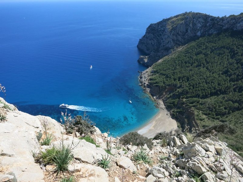 160416_platja_baix.jpg - Mallorca-Wanderungen - 16.04.2016 Talaia d' Alcudiabsbr>beim Abstiegi - Platja des Coll Baix (Schöne und Yachten)